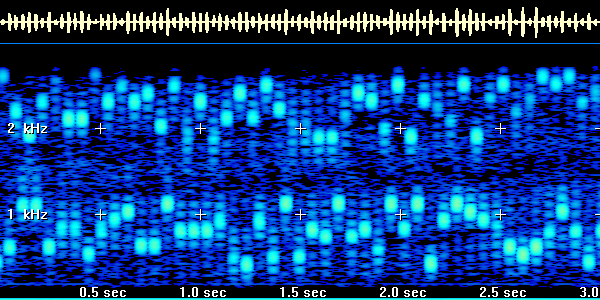 Spectrogram of the Signal