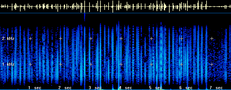 Spectrogram of the Signal