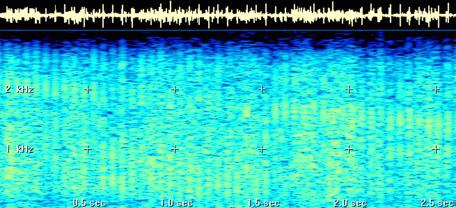 Signal's Spectrum